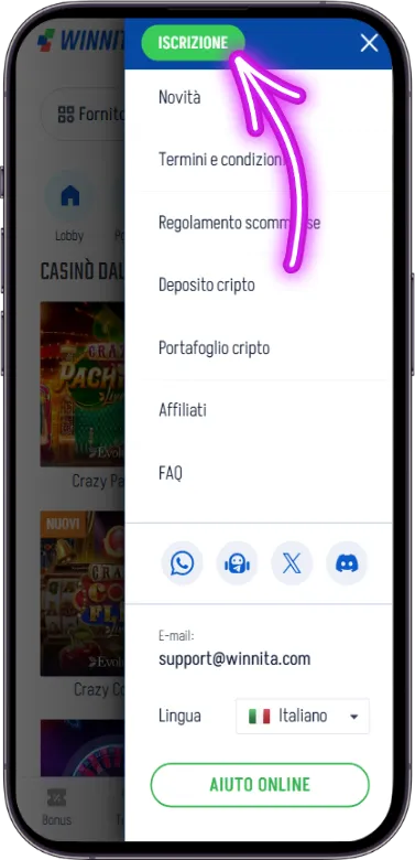 pulsante di registrazione Winnita
